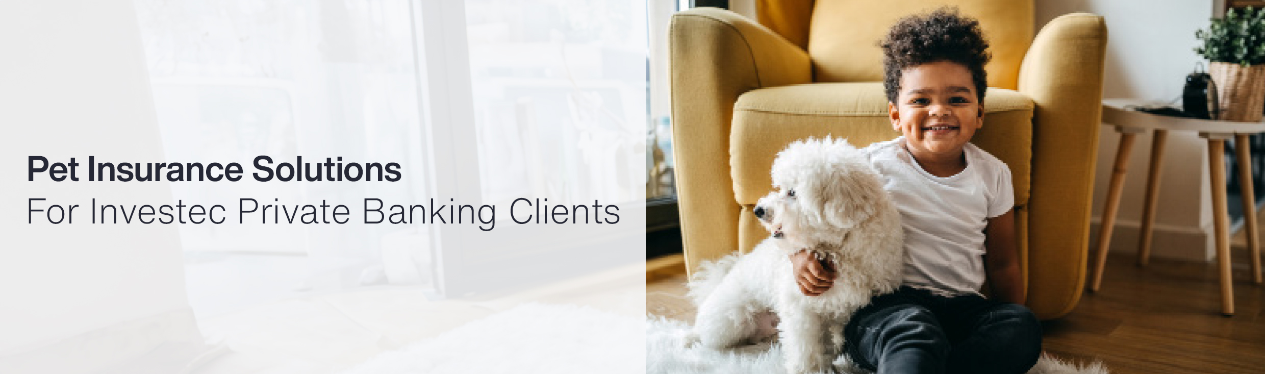 2025 Pet Insurance Homepage Banner